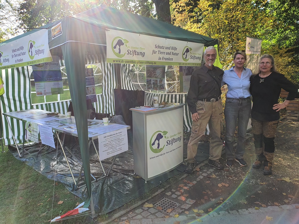 Dr Günther Pfann Stiftung