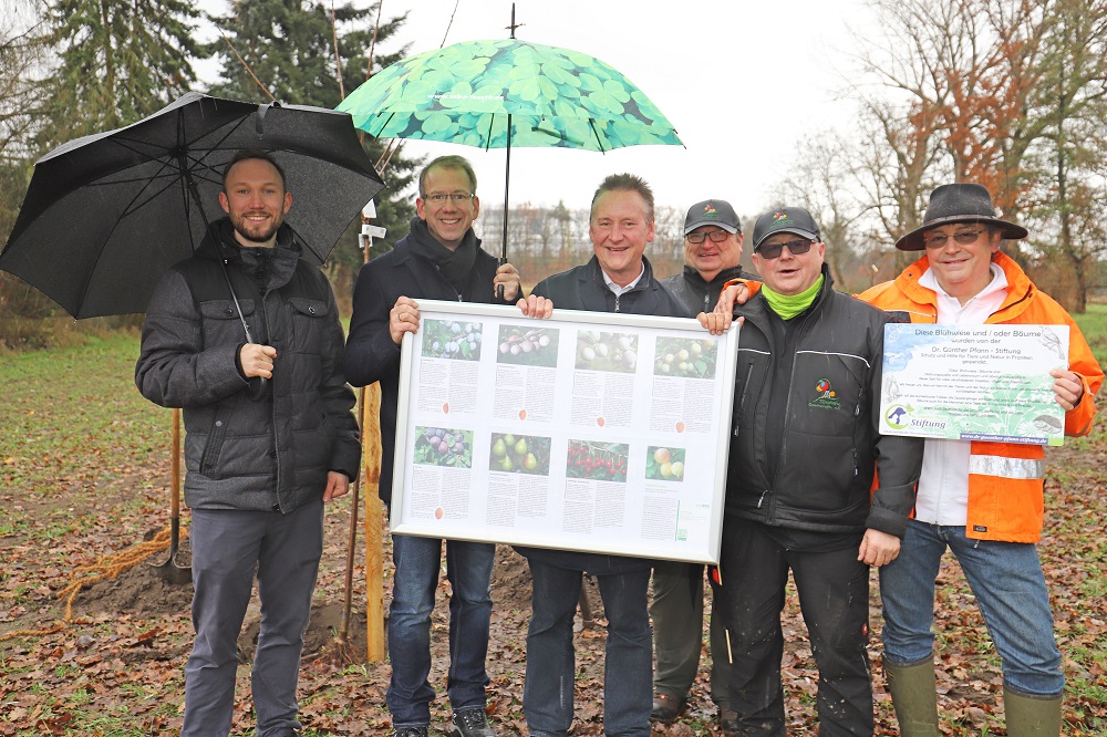 Dr. Günther Pfann Stiftung