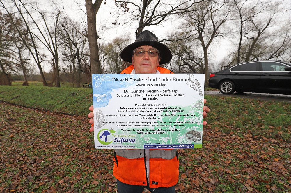 D. Günther Pfann Stiftung