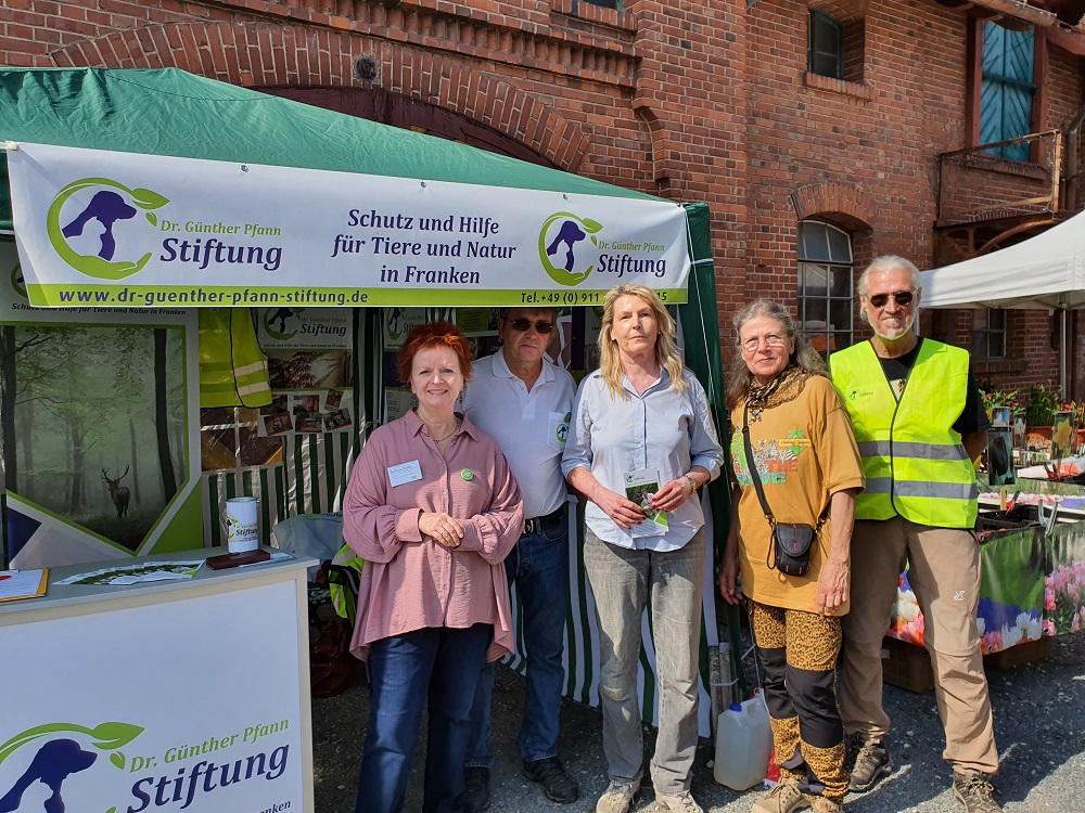 Dr. Günther Pfann Stiftung