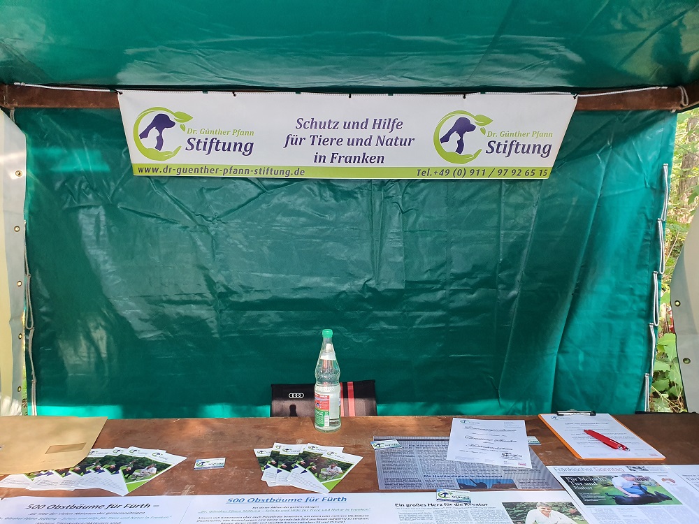 Dr Günther Pfann Stiftung