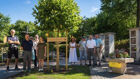 Bürgerstiftung Cadolzburg - Sternenkinderbaum