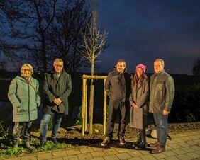 Bürgerstiftung Cadolzburg - Silberlinde