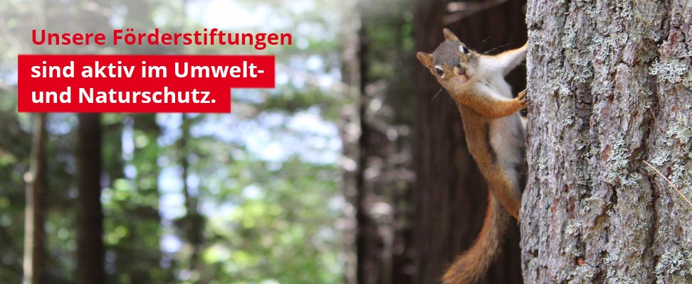 Förderstiftungen - Tiere und Natur - Stiftergemeinschaft der Sparkasse Fürth