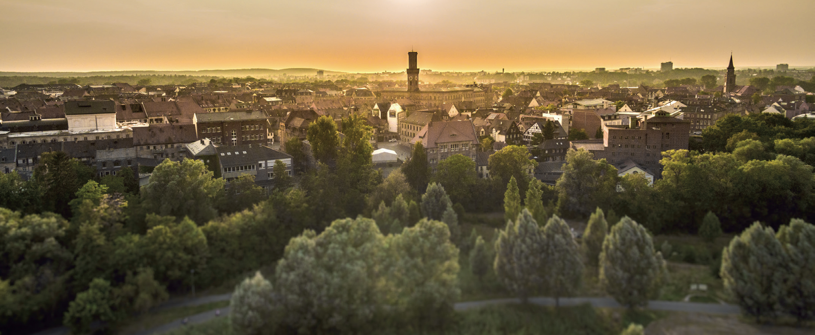 Dr. Andrea Fetz Stiftungen für Tafeln in Stadt und Landkreis Fürth